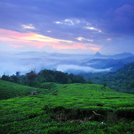 Violet Woods Hotel Munnar Exterior photo